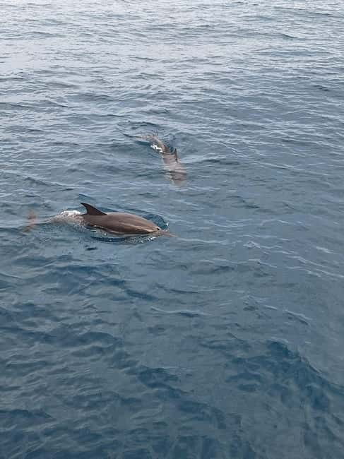 Giardini Naxos Taormina: Dolphin Watching Sunset Tour - Golden hour sailing from Giardini Naxos
