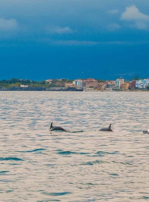 Giardini Naxos Taormina: Dolphin Watching Sunset Tour - The swim in Ionian blue, and why the rinse matters