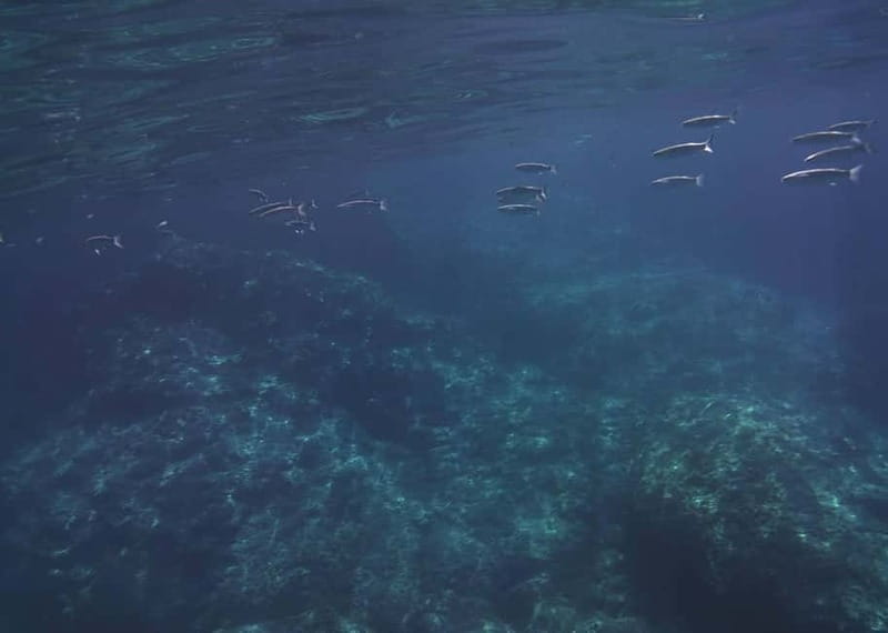 Giardini Naxos Taormina: Dolphin Watching Sunset Tour - Sunset over Etna, plus the views you can only get from water
