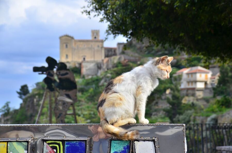 GODFATHER TOUR film's locations departure from Taormina area - Convento dei Cappuccini catacombs: the most atmospheric stop