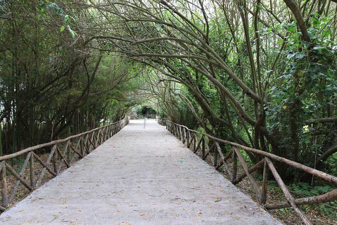 Group guided tour of the archaeological park of Neapolis - Price and value: is $26.43 worth it?