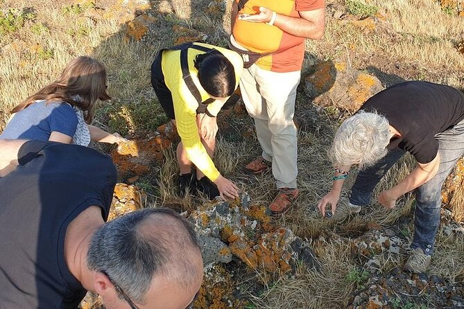 Guided Geological Excursion to Ustica - The terrestrial cave that leads you toward the sea