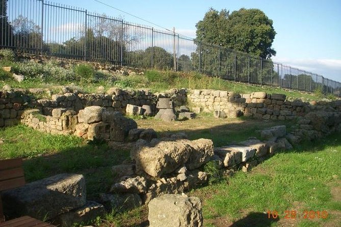 Guided Tour in Morgantina. Visit Morgantina. - Price and logistics: is €8 extra worth it?