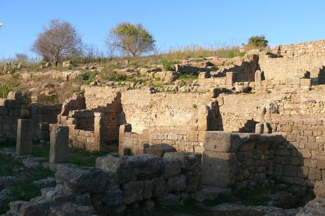 Guided Tour in Morgantina. Visit Morgantina. - If you want more than the site: museum and Villa Romana del Casale ideas