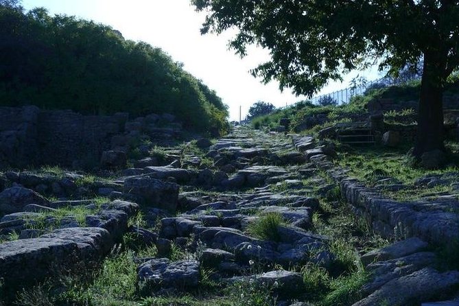 Guided Tour in Morgantina. Visit Morgantina. - Who should book this guided visit?