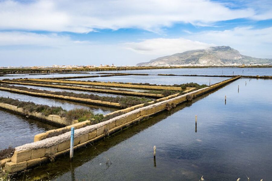 Guided tour of the Marsala Salt Pans and salt harvesting - Where it starts: the Infersa Mill meeting point