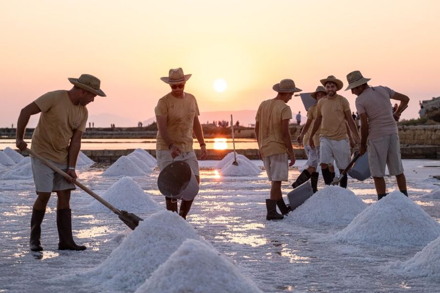Guided tour of the Trapani Salt Pans and Salt Museum - The 75-minute salt pan walk: colors, birds, and that water-mirrors-sky moment