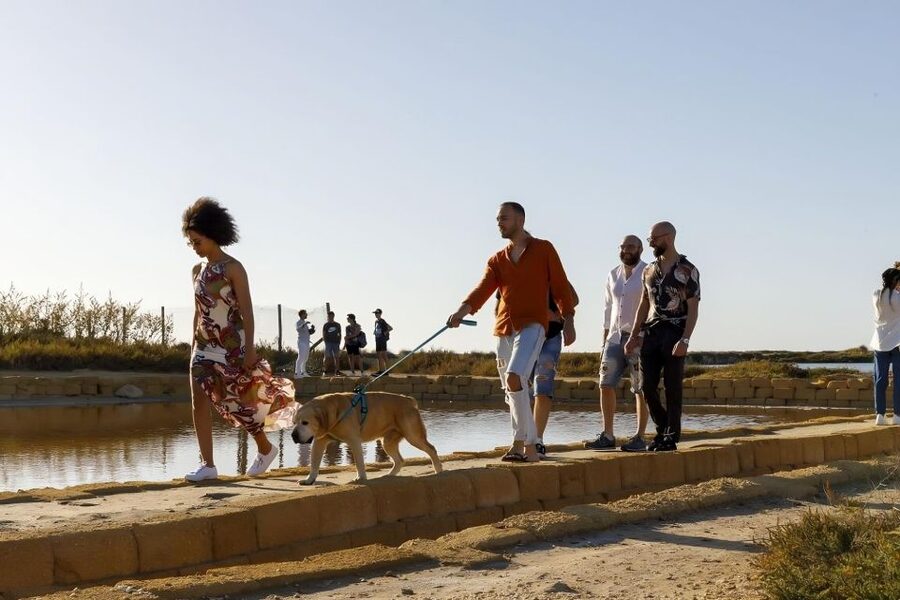 Guided tour of the Trapani Salt Pans and Salt Museum - Who should book this tour, and who should reconsider