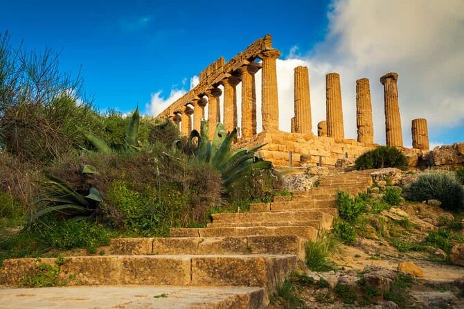 Guided tour of the Valley of the Temples in Agrigento - Walking the Valle dei Templi: what you can expect to see