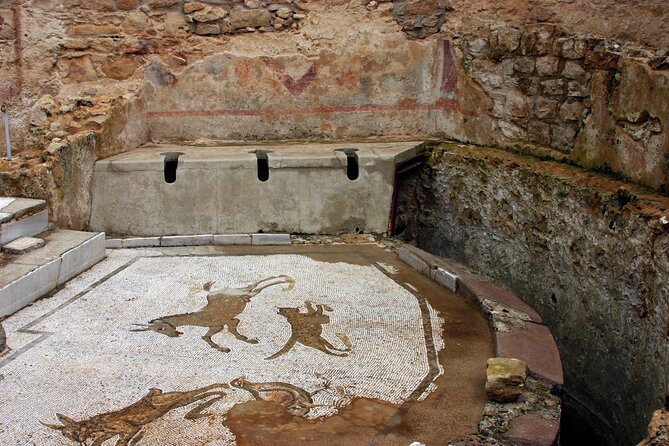 Guided tour of Villa Romana del Casale with skip the line - Thermal baths: calidariums, frigidarium, and Roman engineering