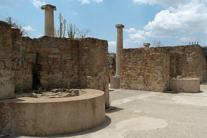 Guided tour of Villa Romana del Casale with skip the line - What to look for on the mosaics (so the 2 hours feel worth it)