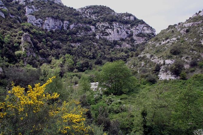 Guided Trekking to Cavagrande del Cassibile in Sicily - The canyon’s secret mechanics: uruvi and circular basins
