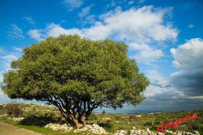 Guided Trekking to Cavagrande del Cassibile in Sicily - Price and value: $65.35 for a guided canyon hourglass