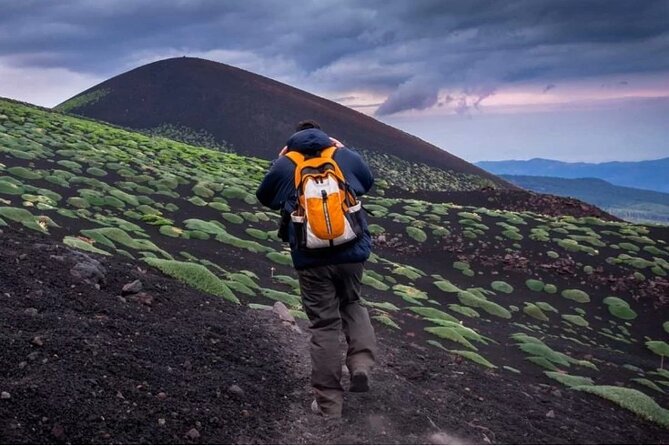 Half Day Guided Tour in Mount Etna (3000 meters) - Inside the Morning Schedule, From Pickup to Summit