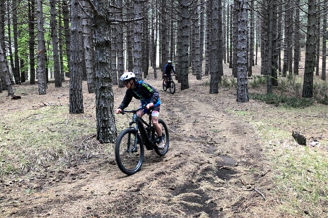 Half Day Tour to discover Etna by E-Mtb - Price and value: is $113.37 a good deal?