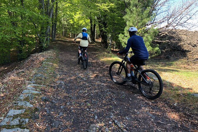 Half Day Tour to discover Etna by E-Mtb - Ragabo pine forest and the Altomontana track to Grotta dei Lamponi