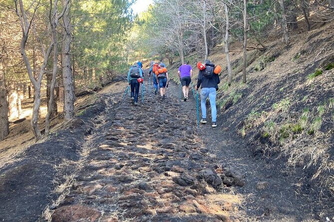 Half day Trekking Tour on Etna - Weather, packing, and realistic expectations