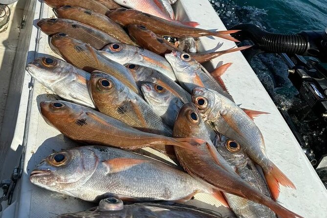 Half-seabed or rod fishing tour with bolentino - Plemmirio and the Gulf of Pillirina: animal-like rock shapes and open coast