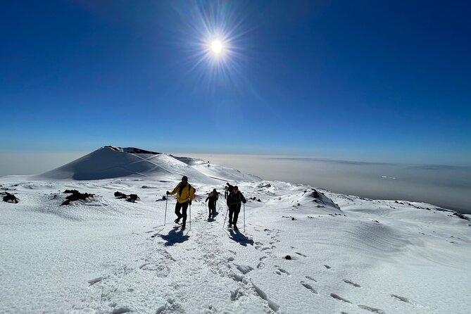 Hike near the summit craters up to the maximum safe altitude currently foreseen - The main climb across lava fields, craters, and hot fumaroles