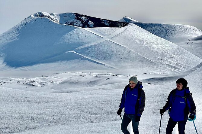 Hike near the summit craters up to the maximum safe altitude currently foreseen - Guides and gear: why this tour feels well run
