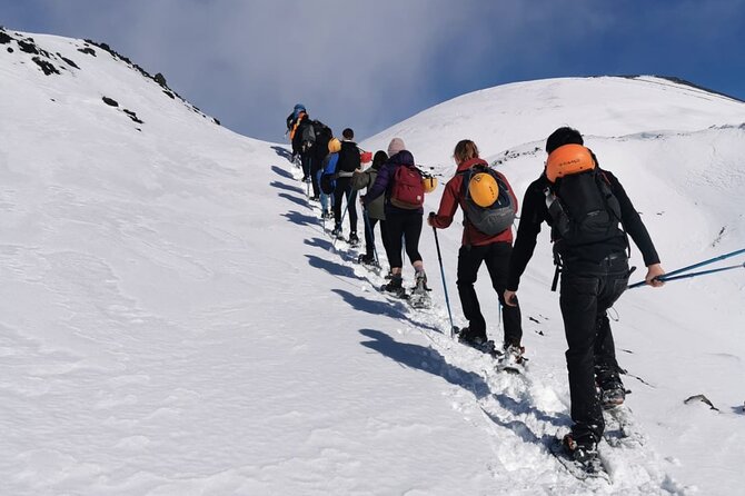 Hike near the summit craters up to the maximum safe altitude currently foreseen - Price and value: what $66.38 covers, and what you pay on site