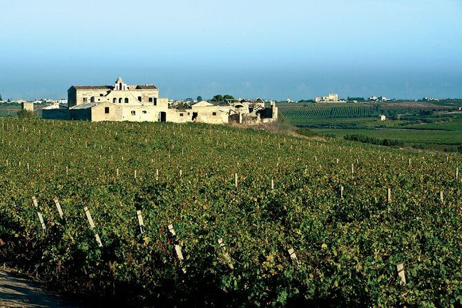 Historic winery visit with food and wine tasting in Marsala - Starting at Alagna Vini: where the experience begins