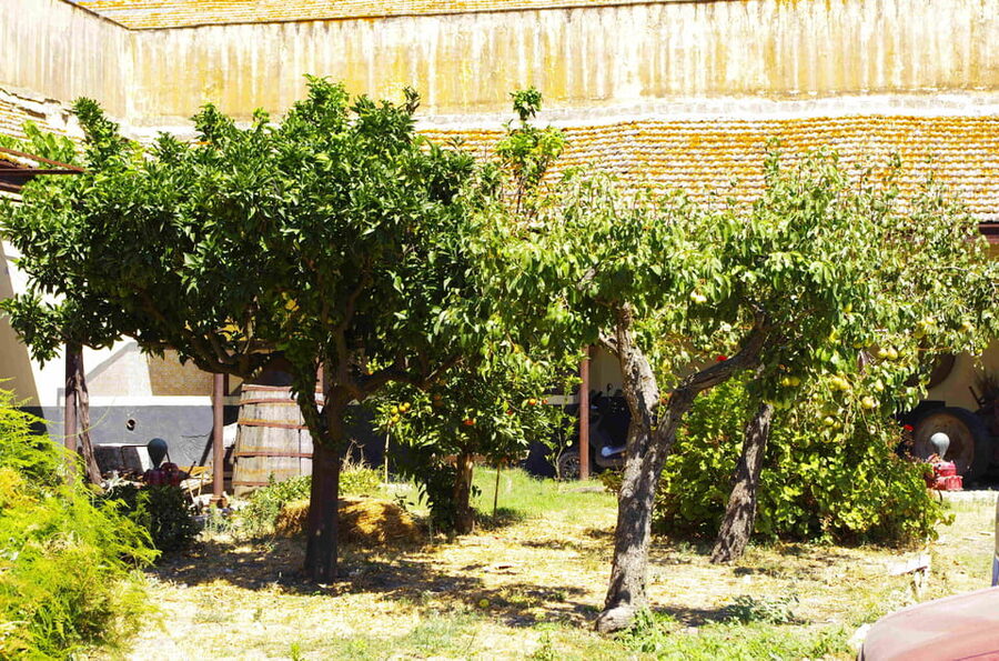 Historical Baglio Florio Adamo tour with wine tasting - The rail system story: how wine was moved inside the baglio