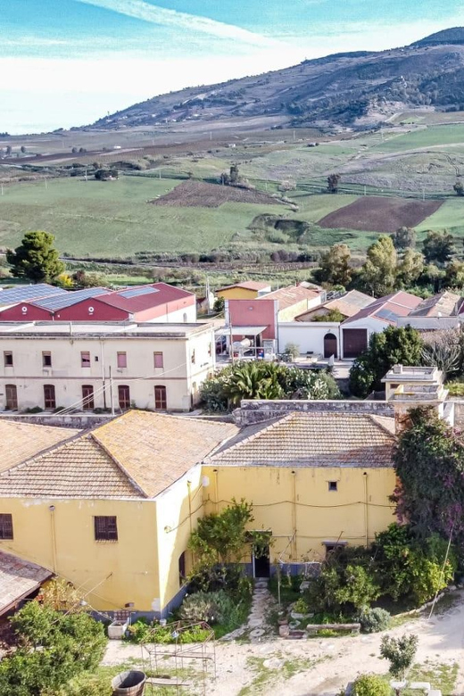 Historical Baglio Florio Adamo tour with wine tasting - Florio family roots to Adamo Bio today