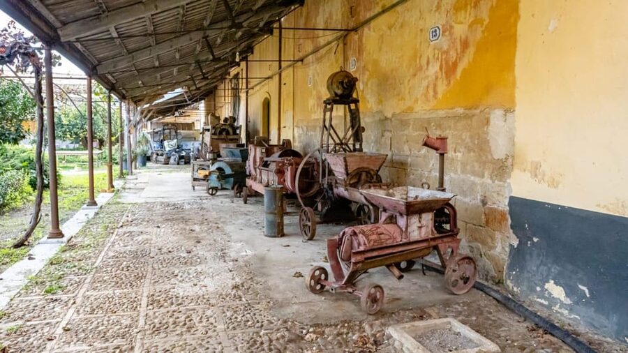 Historical Baglio Florio Adamo tour with wine tasting - Liliana and Vito hosting mode: humor, food, and local care
