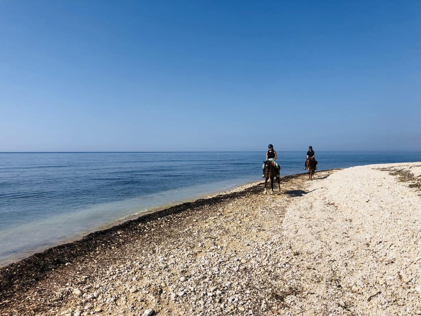 Horseback riding in the beaches of Sciacca - Swimming and sea bath with horses: calm excitement, saltwater reward