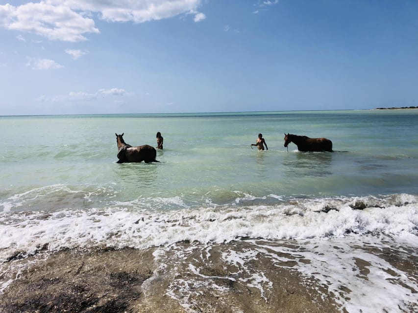 Horseback riding in the beaches of Sciacca - Sunset riding, photos, and the ride back with a Sicilian glow