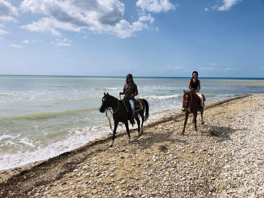 Horseback riding in the beaches of Sciacca - Price and value: what $198.25 per person buys you