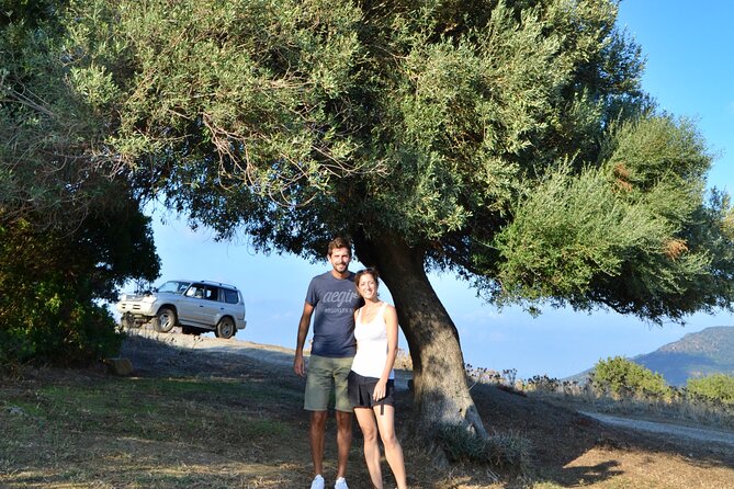 I Briganti by night by jeep - Olive Trees, Nocturnal Wildlife Chances, and San Mauro Mills