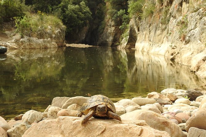 Inflatable boat excursion Gole di Tiberio on the Madonie near Cefalù - Swim time in the Pollina, and why river shoes are not optional