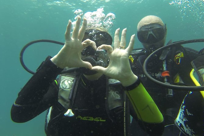 Introdive - Instructor Styles: Piero, Paolo, Pepe, Grace, and Melanie