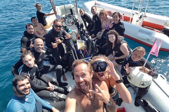 Introdive - What You Can Expect to See Underwater Off Taormina
