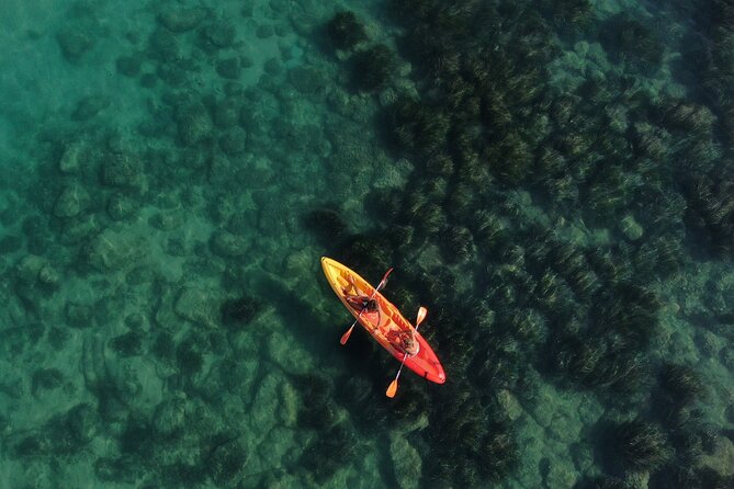 Kayak Tour: From Cala Manbrù to Torre Salsa Reserve - Key Points Before You Go