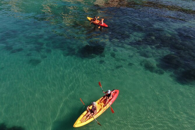 Kayak Tour: From Cala Manbrù to Torre Salsa Reserve - Who Should Book This Kayak Tour, and Who Might Skip It