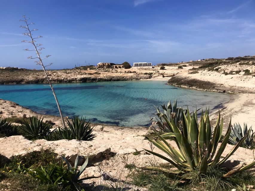 Lampedusa: Boat Tour with Lunch Sapore di Mare - Should You Book Sapore di Mare Lampedusa?