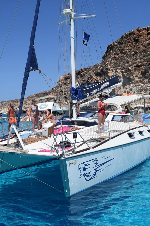 Lampedusa: Dolphin watching with aperitif at sunset - Key Highlights You Will Feel Right Away