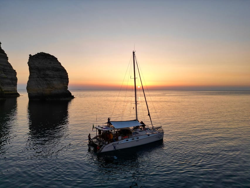 Lampedusa: Dolphin watching with aperitif at sunset - Price and Value at $77 Per Person