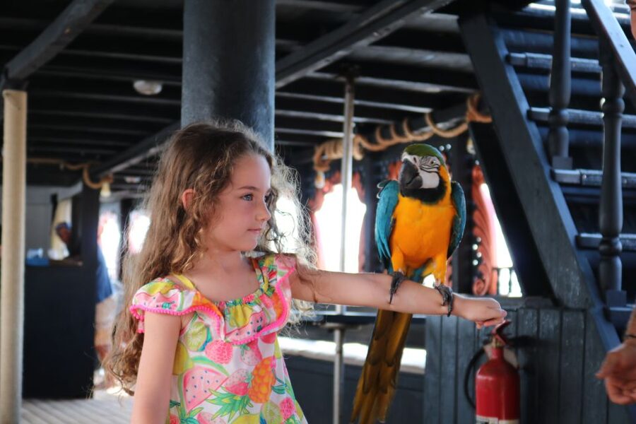 Lampedusa: Pirate Ship Boat Tour with Lunch and Music - Key things to know before you go