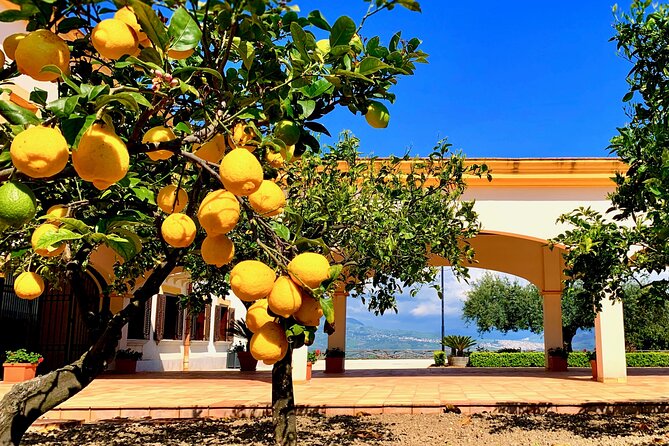 Leave the City Behind Tour with Guide Driver starts from Palermo - Quick highlights you’ll feel the moment you start