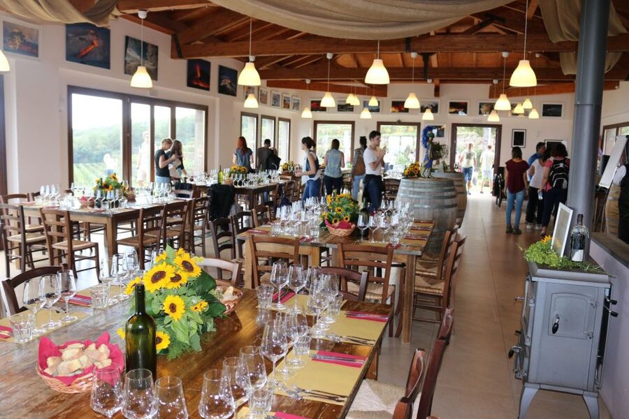 Linguaglossa: Wine Tasting Experience at Etna Nord - Key highlights you should care about