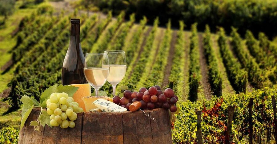 Linguaglossa: Wine Tasting Experience at Etna Nord - Where Etna Nord Puts You on the Map: Above Etna, Then Under It