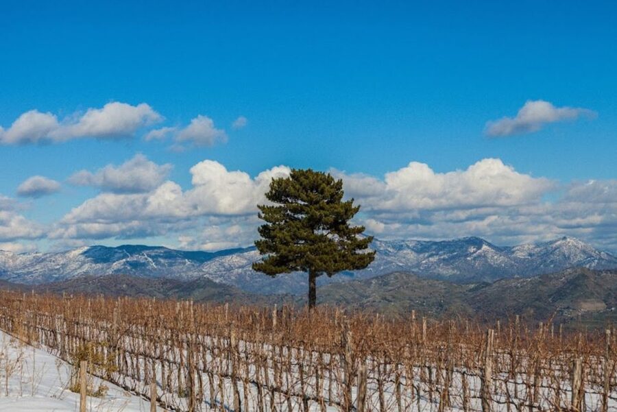 Linguaglossa: Wine Tasting Experience at Etna Nord - Finding Gambino Vini and Getting Oriented Fast
