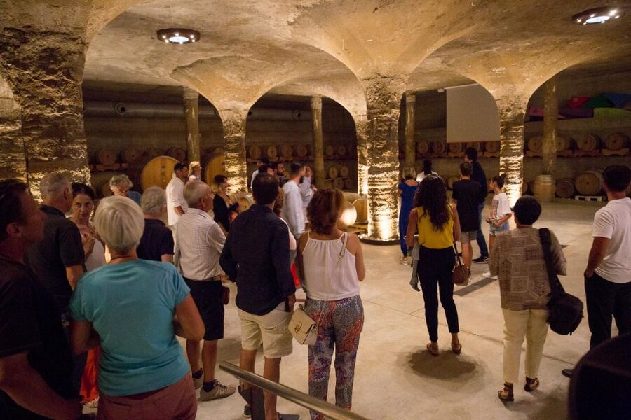 LIPARI WINERY - SUNSET WINE TASTING - Terrace pairing: Mt Etna olive oil, Nebrodi cheeses, and Aeolian flavors