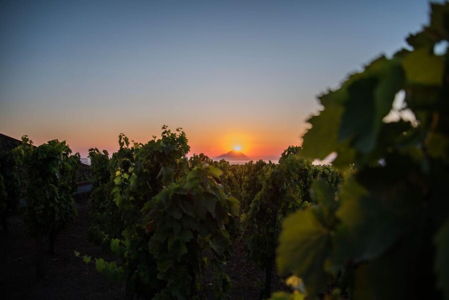 LIPARI WINERY - SUNSET WINE TASTING - Price and value: $65 for a 2.5 hour sunset experience