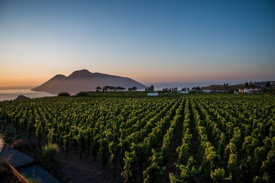 LIPARI WINERY - SUNSET WINE TASTING - Who this is best for, and who might want something else