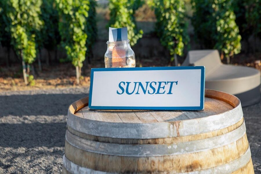 LIPARI WINERY - SUNSET WINE TASTING - The early part of the visit: winery tour plus a quick vineyard walk